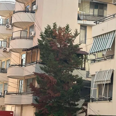 Terra Plazh *